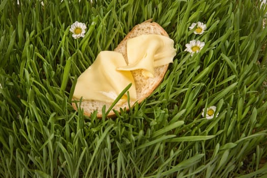 Bread with butter on a green grass