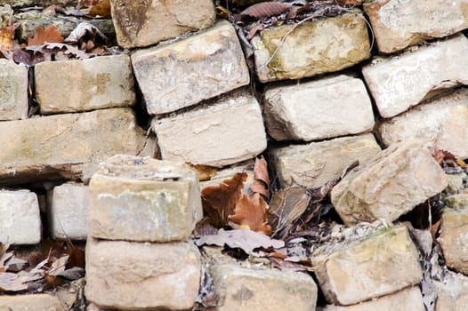 old bricks stacked in a pile in the middle of the forest in autumn