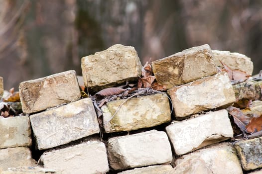 old bricks stacked in a pile in the middle of the forest in autumn