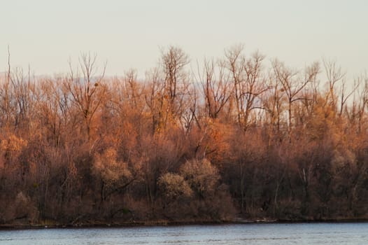 autumnal forest near the water at sunset and day