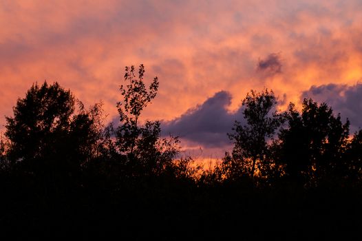 Black forest at a red beautiful sunset with clouds