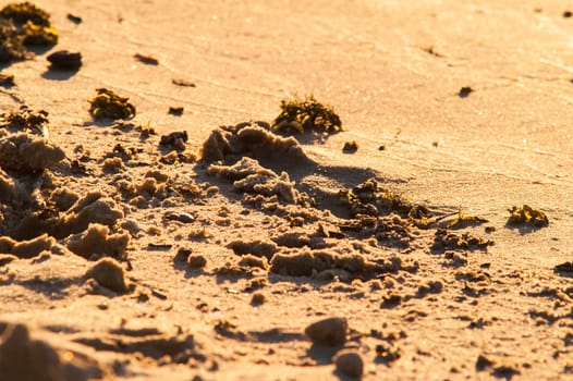 beach of golden sand with traces of a sunny day