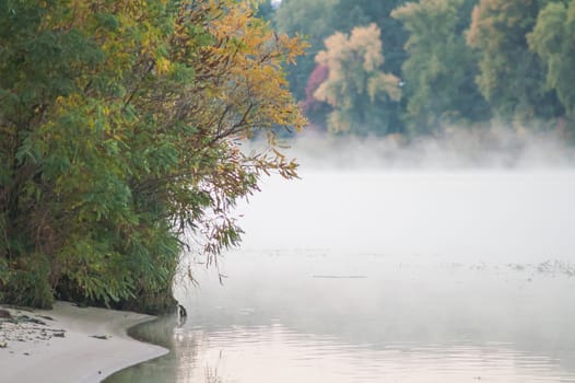 fog on an autumn river with green forest