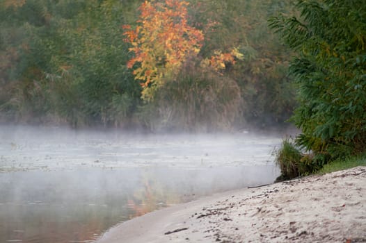 fog on an autumn river with green forest