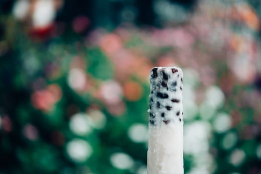 Coconut blackbean icecream with the blurred bokeh background.Soft focus.