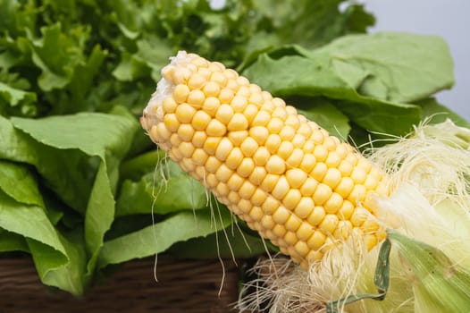 juicy and beautiful corn on a background of green salad close-up 