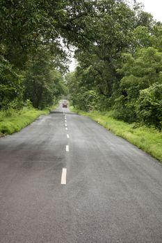 A bus far away on an empty road passing through an Indian forest in western ghats