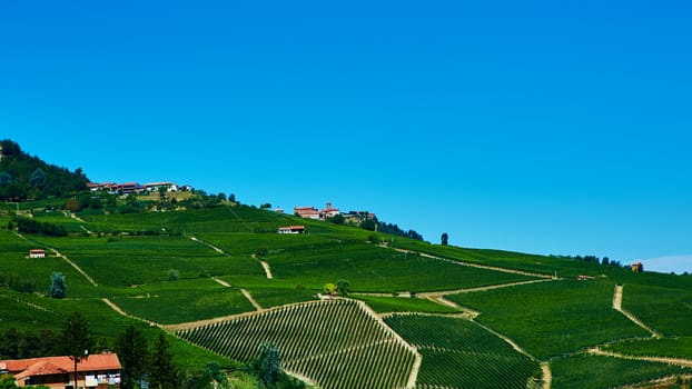 The chianti vineyard landscape in Tuscany, Italy