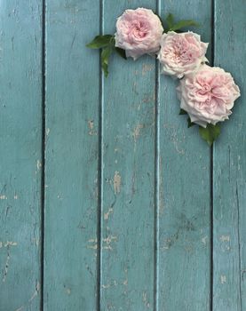 Vintage rose and blank photo frame on old wooden background