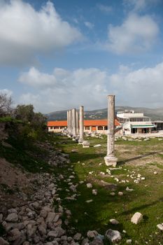 Sebastia ancient israel excavation on palestinian territory