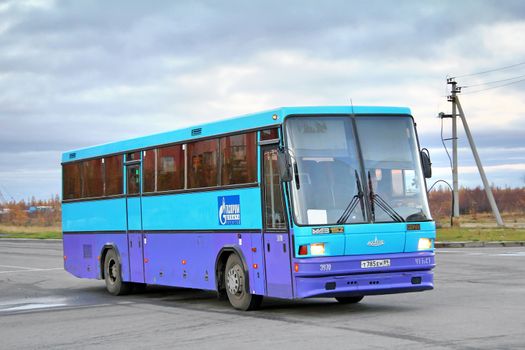 NOVYY URENGOY, RUSSIA - SEPTEMBER 25, 2012: Blue MAZ 152 Vazola interurban coach at the city street.