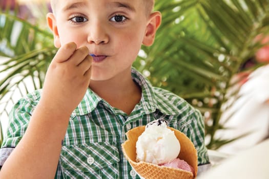 Young boy eating ice cream in a park in front of a palm tree.