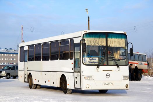 NOVYY URENGOY, RUSSIA - FEBRUARY 9, 2013: White LIAZ 5256 interurban bus at the city street.