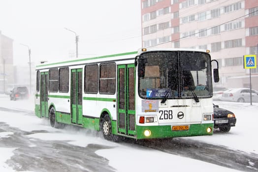 NOVYY URENGOY, RUSSIA - OCTOBER 20, 2013: White and green LIAZ 5256 city bus at the city street.