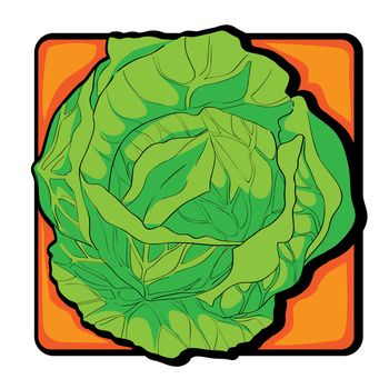 Cabbage clip art, doodle illustration isolated on white