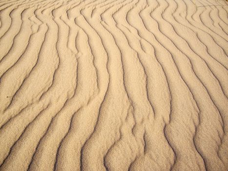 Sand Rivulets in Mojave Desert