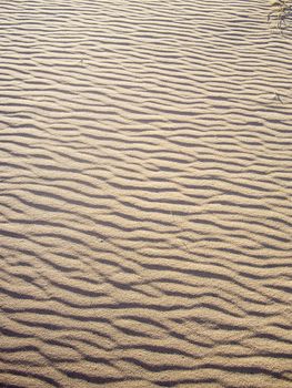 Mojave Desert Sand