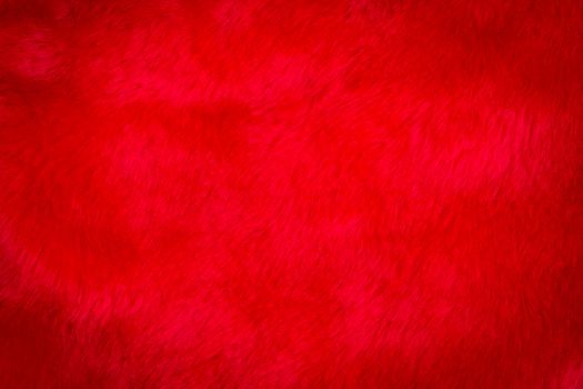 texture of red fur , use for background