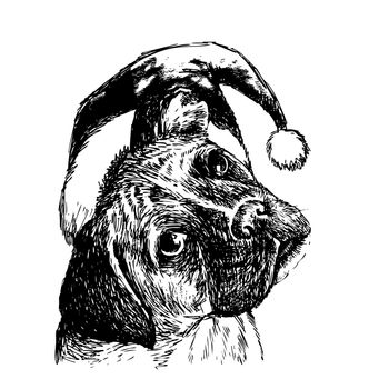 Head of boxer with santa claus hat and  star , use for christmas background