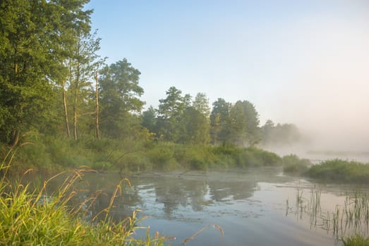 landscape with natural foggy river, nature series