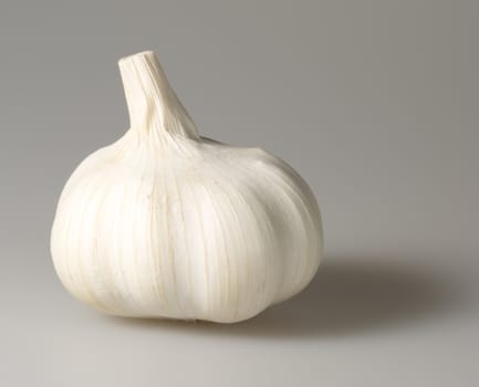 Garlic Bulb Close Up on grey background.