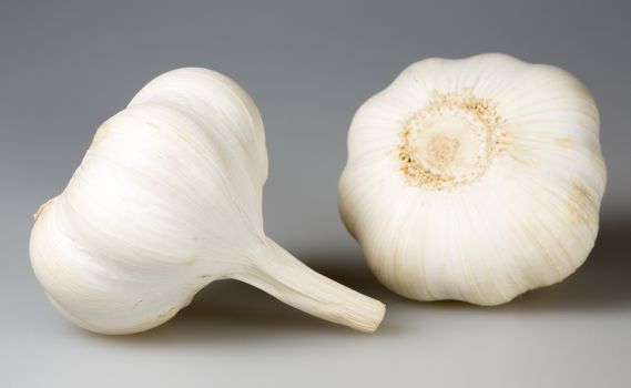 Pair of Garlic Bulbs close up.