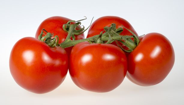 Tomatoes Close Up on white background.