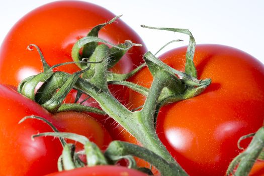 Tomatoes Close Up on white background, Macro Image.