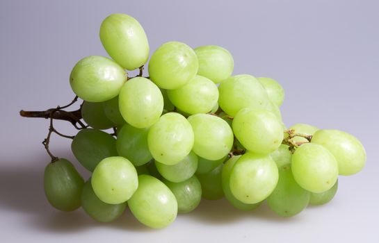 Green Grapes Close Up on grey background.