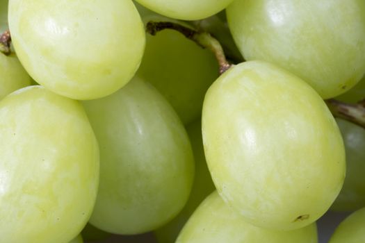 Green Grapes Close Up