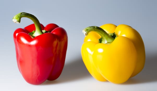 Red and Yellow Bell Pepper close up on grey background.