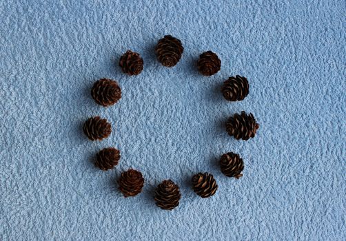 Round frame of twelve cones of larch on a blue background.