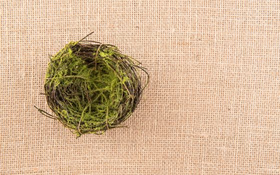 Mossy bird next shot from above on neutral burlap background
