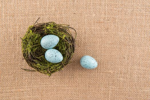Three blue speckled eggs and mossy nest on neutral burlap background