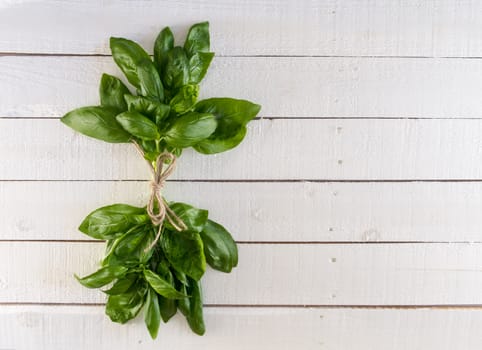 Fresh basil tied with twine, on rustic wood background