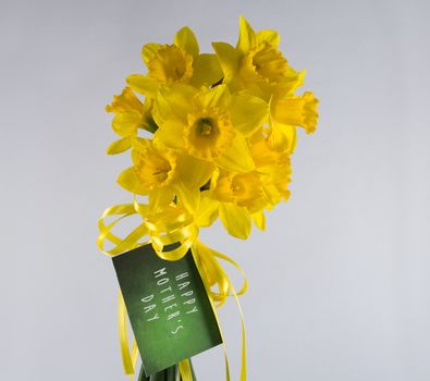 Happy Mother's Day daffodil bouquet on white background