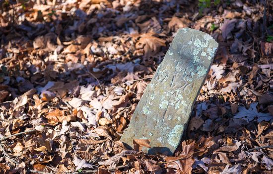 Old tombstone in autumn leaves