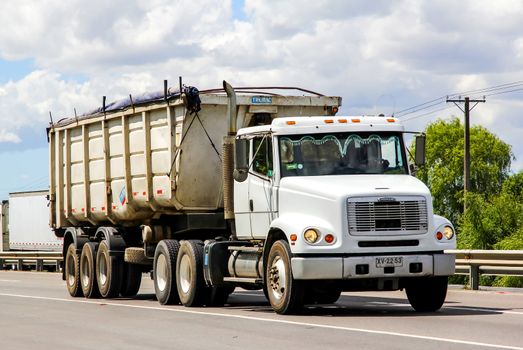 BIO-BIO, CHILE - NOVEMBER 23, 2015: Cargo truck Freightliner FL112 at the interurban freeway.