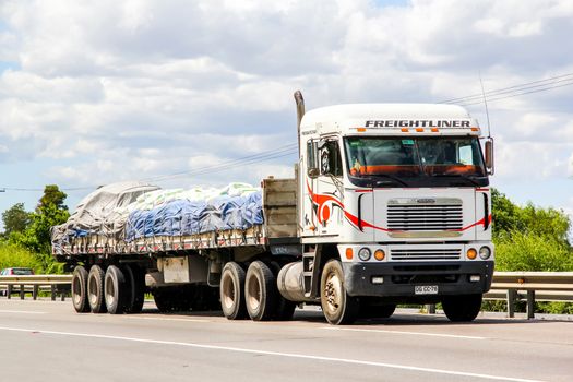 BIO-BIO, CHILE - NOVEMBER 23, 2015: Cargo truck Freightliner Argosy at the interurban freeway.