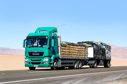 ATACAMA, CHILE - NOVEMBER 14, 2015: Modern truck MAN TGS at the interurban freeway through the Atacama desert.