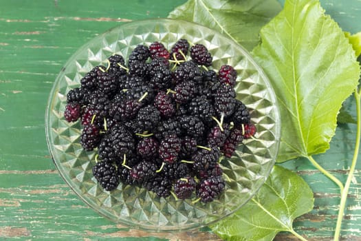 Ripe mulberry berries in a plate, freshly picked