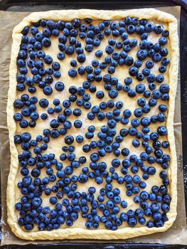 Fresh blueberry pie, prepared for baking.
