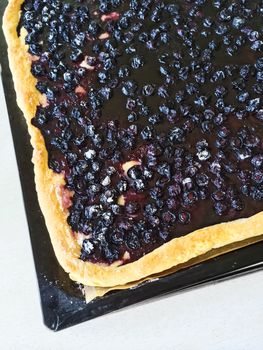 Freshly baked blueberry pie on a baking tray.