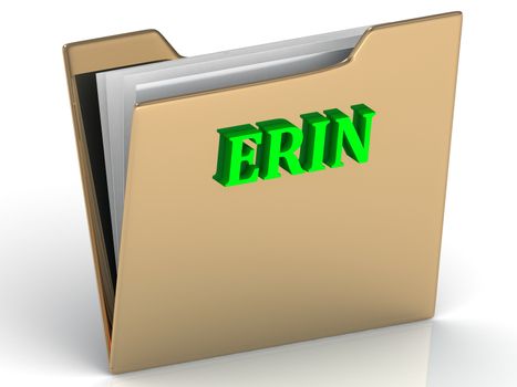 ERIN- bright green letters on gold paperwork folder on a white background