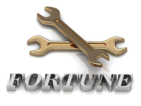FORTUNE- inscription of metal letters and 2 keys on white background