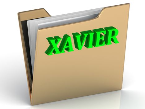 XAVIER- bright green letters on gold paperwork folder on a white background