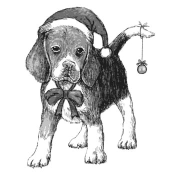 hand drawn vector of beagle with christmas hat on white background