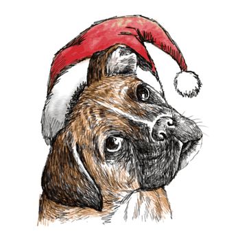 hand drawn vector of boxer with christmas hat on white background