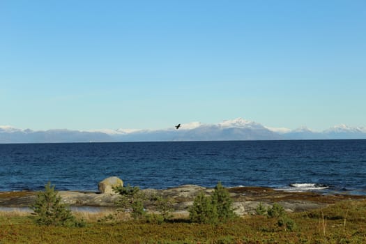 Arctic landscape, Nordland