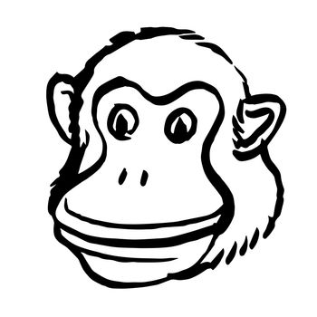 Freehand illustration of monkey head on white background, doodle hand drawn